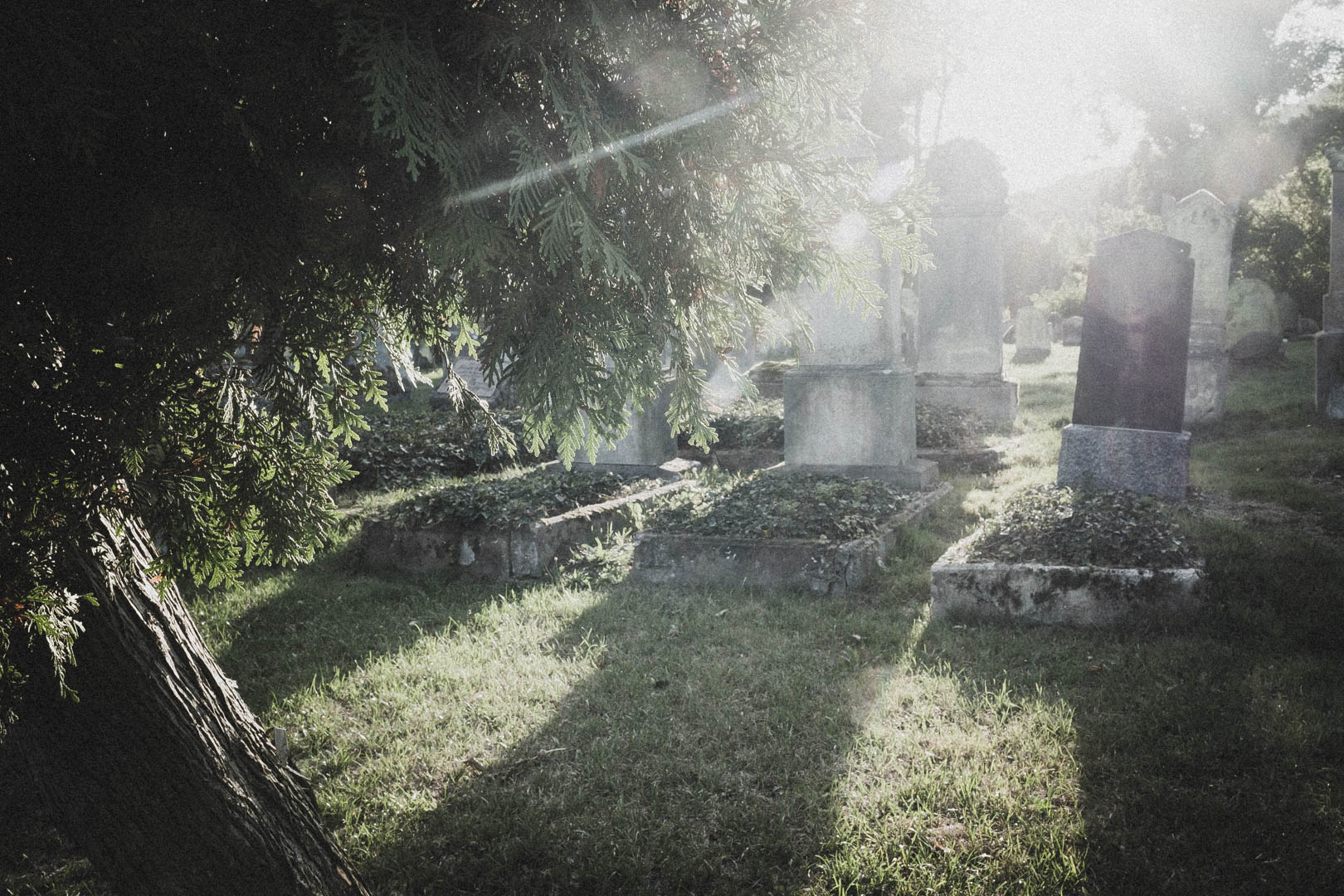 Beverungen, Jüdischer Friedhof